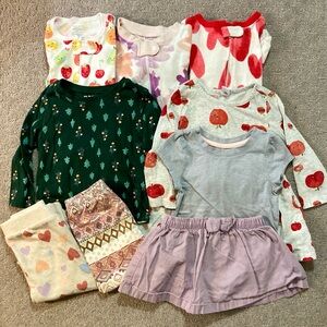 9-piece Bundle assorted toddler girl clothes, ~18-24M.